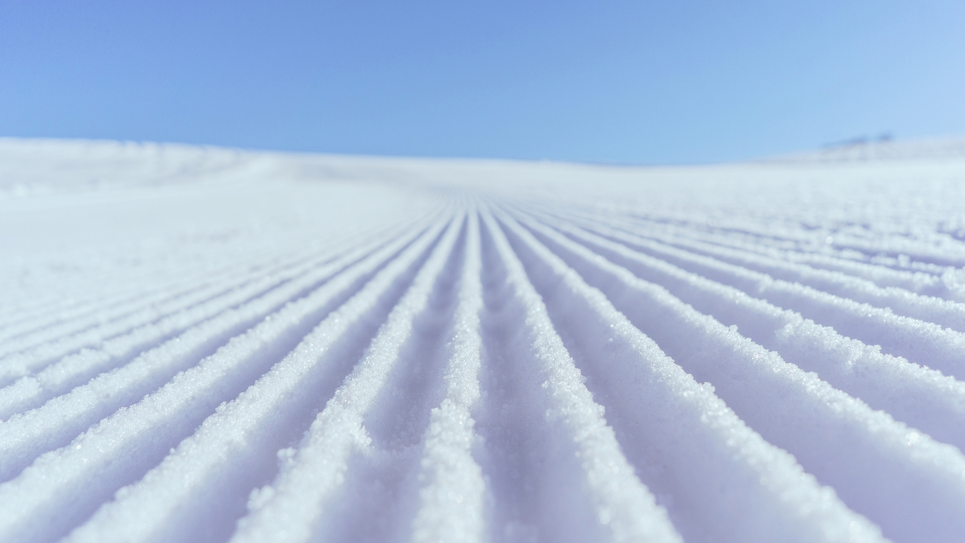 Sportlovsveckor OBH Nordica